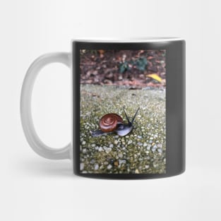 Baby Snail Mug